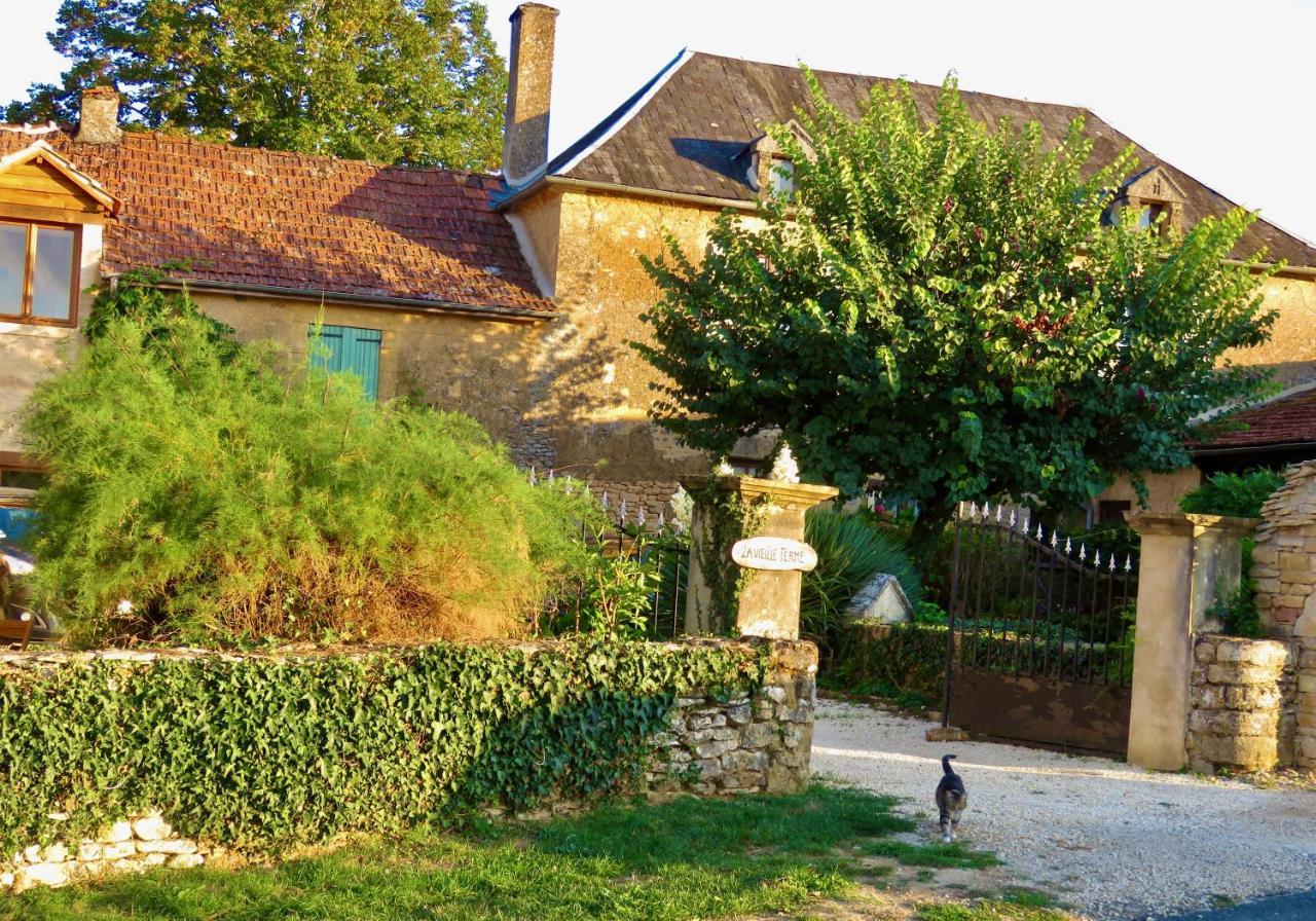 La Vieille Ferme: Superbe Complexe De 3 Gites En Pierre Avec Piscine Au Coeur Du Perigord Noir Saint-Genies Экстерьер фото